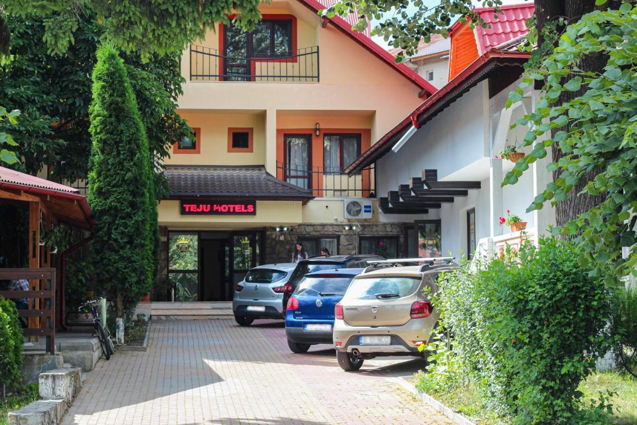 Teju Hotels Slănic Extérieur photo