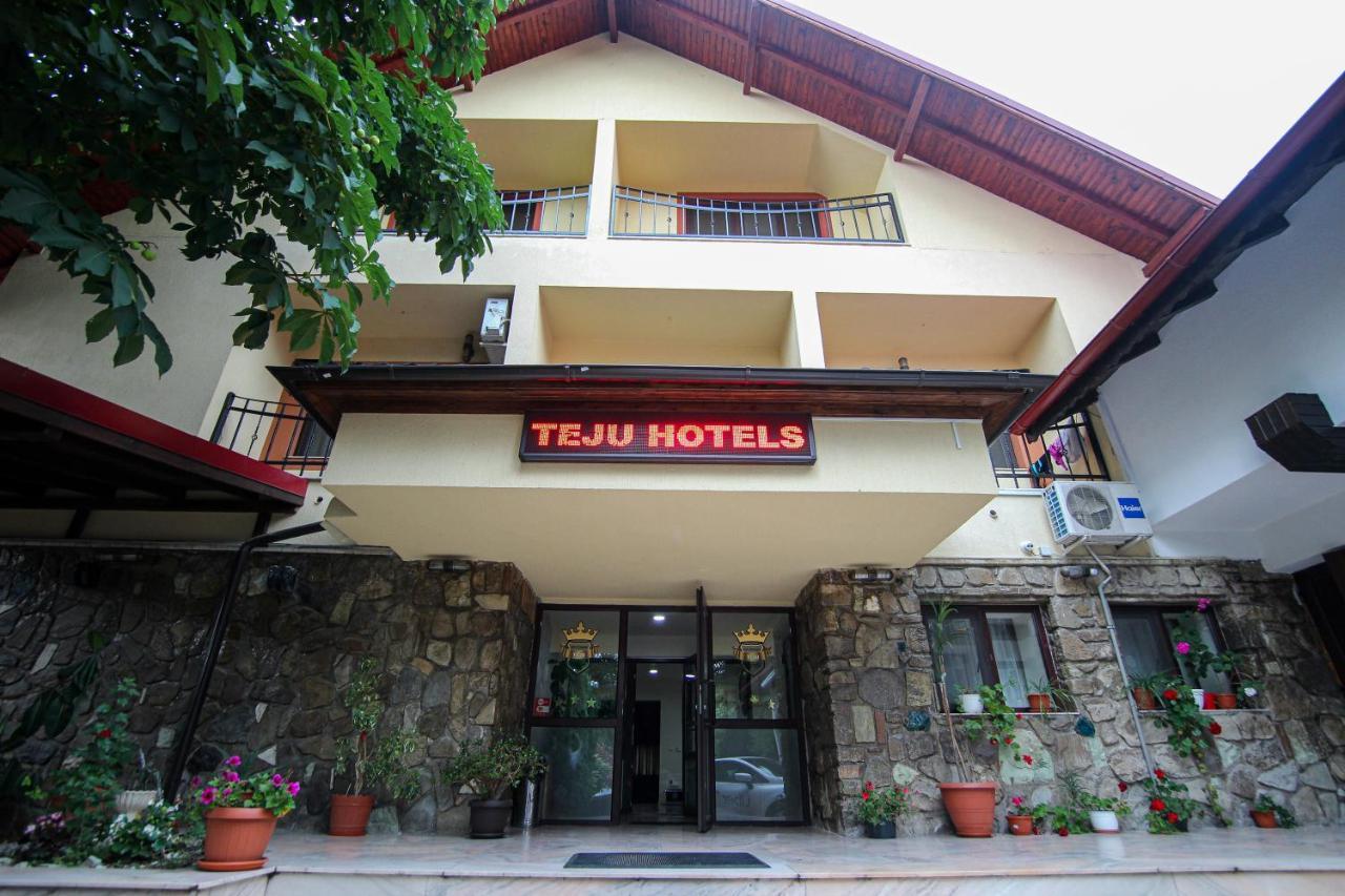Teju Hotels Slănic Extérieur photo